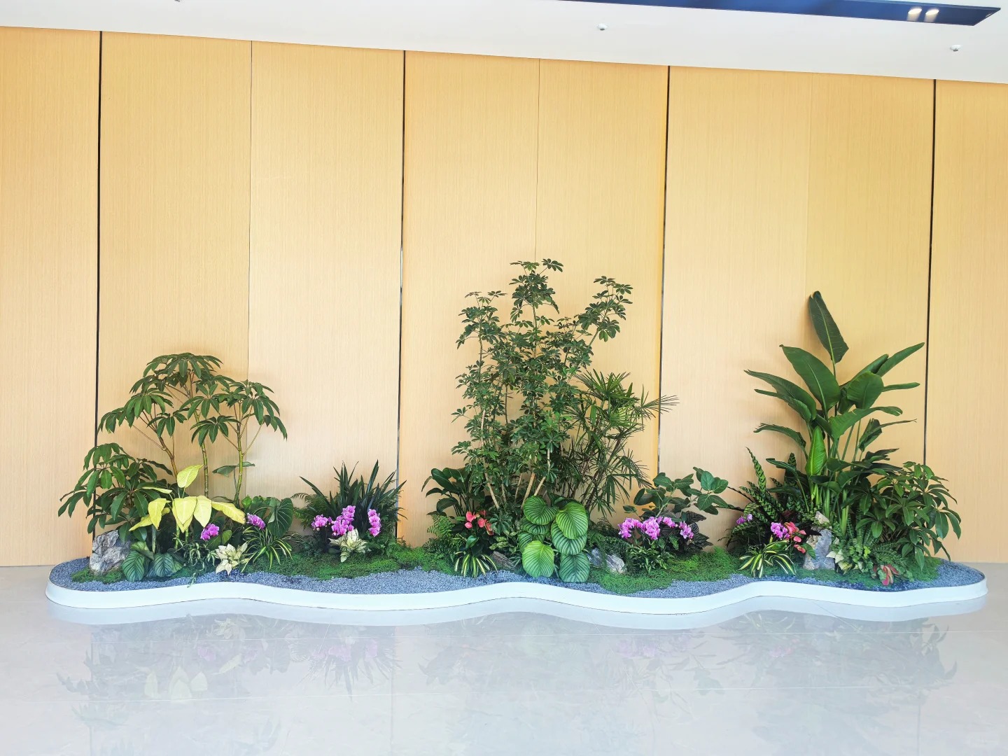 余姚植物租摆价格全解析，一文看懂！