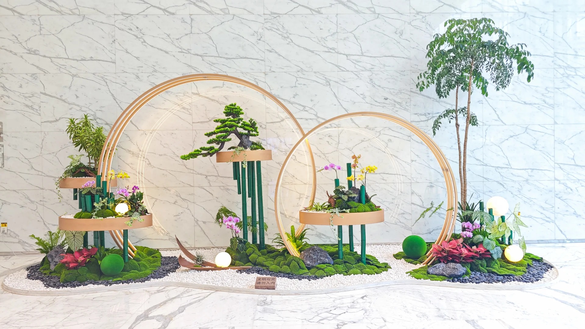 专业绿植出租在慈溪，给您别样体验