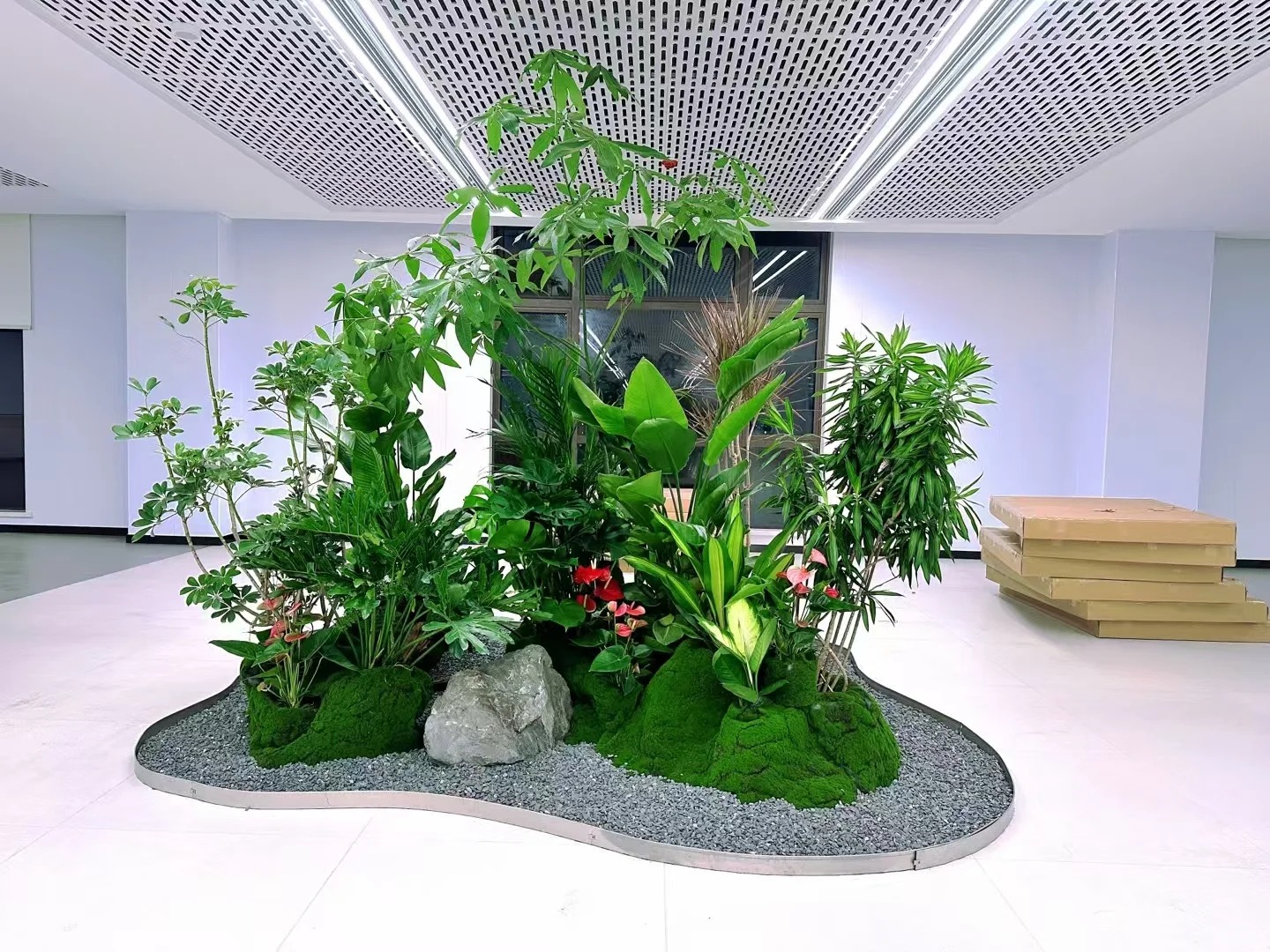 专业盆景租赁，宁波镇海为您的空间添绿