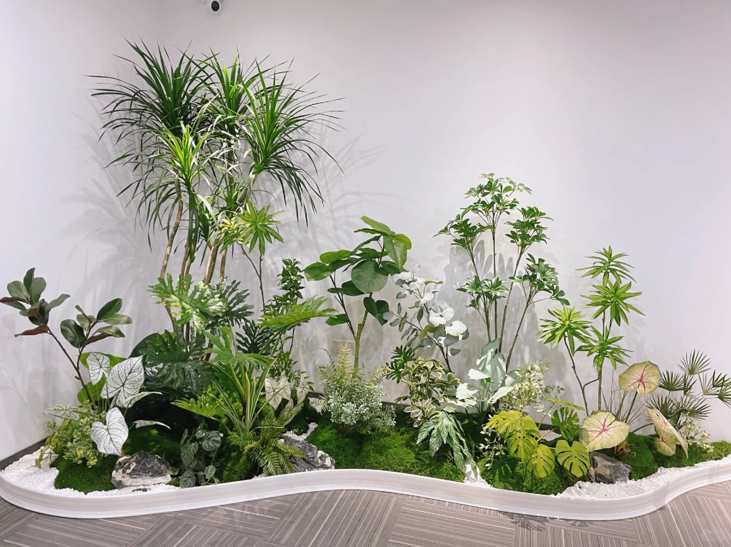 专业盆景租赁，宁波镇海为您的空间添绿