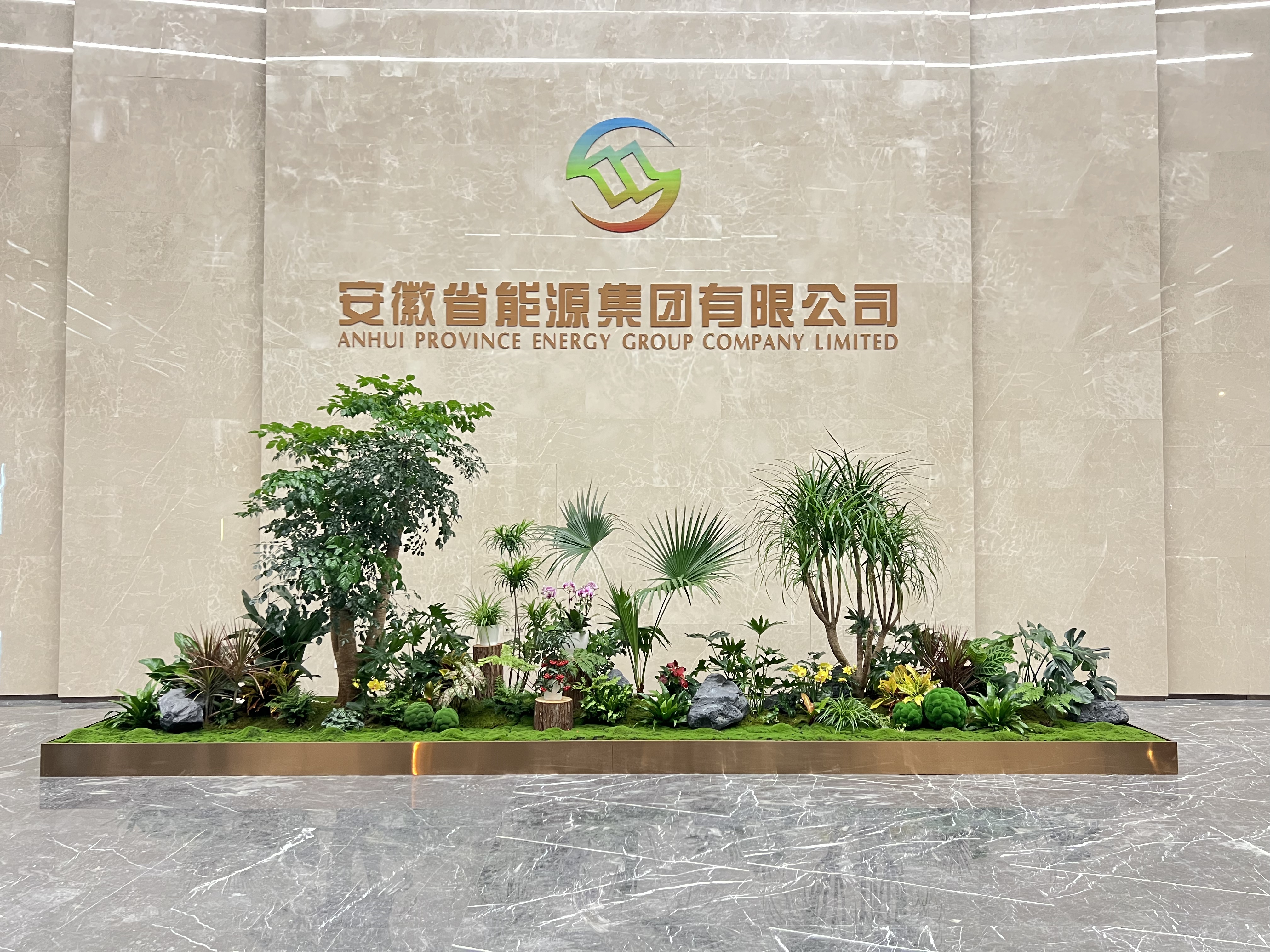 专业慈溪盆景出租，让绿植为环境增添别样风采